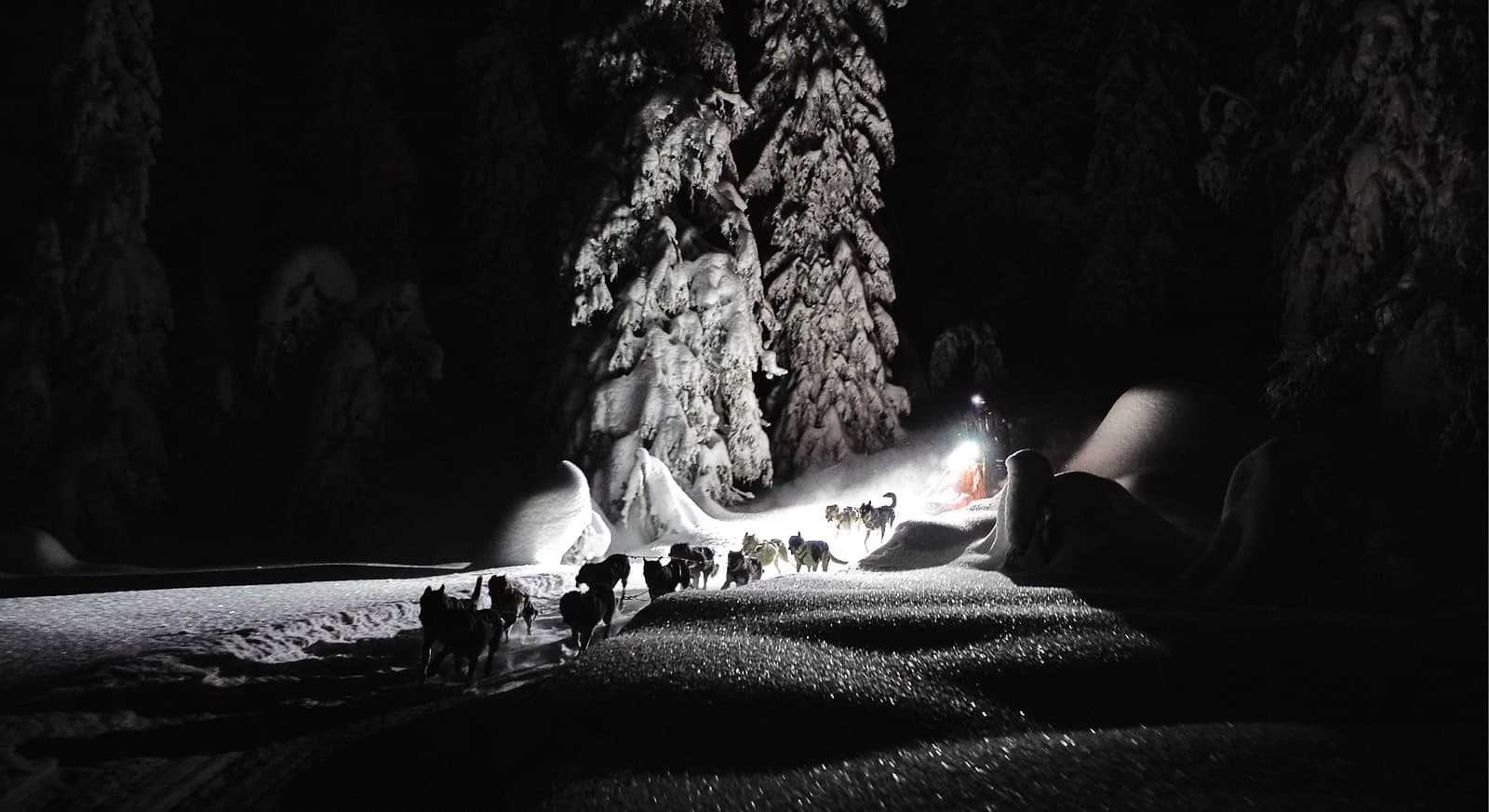 Arctic buksa 2.0 lifestyle 1