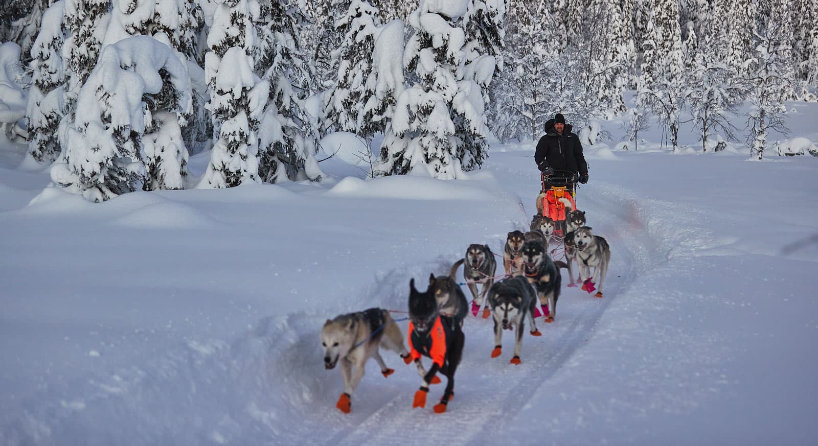 Arctic jakka 3.0 lifestyle 1