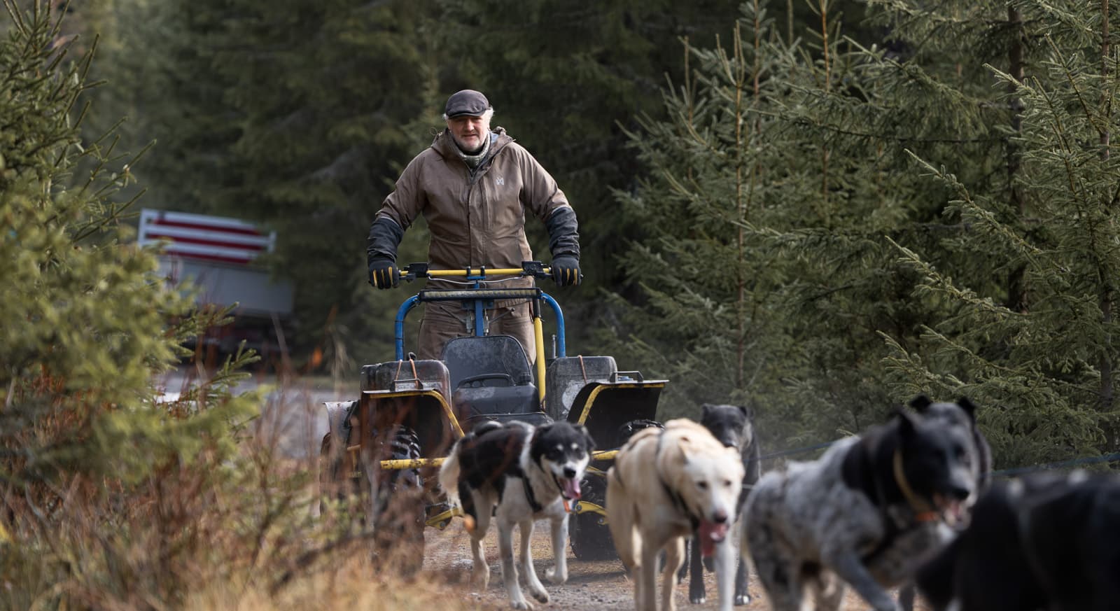 Arctic shell jacket lifestyle 1