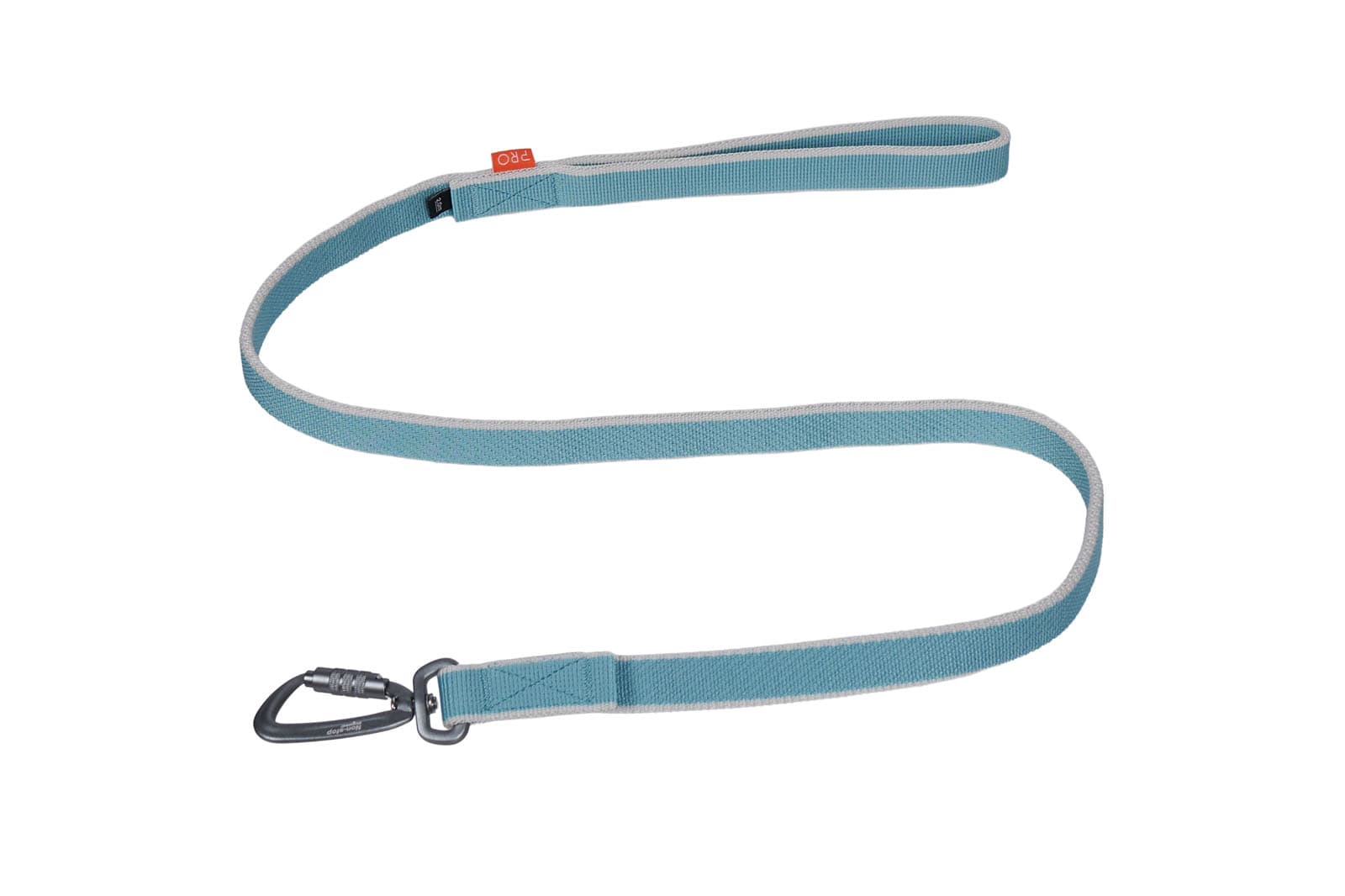 Bungee leash