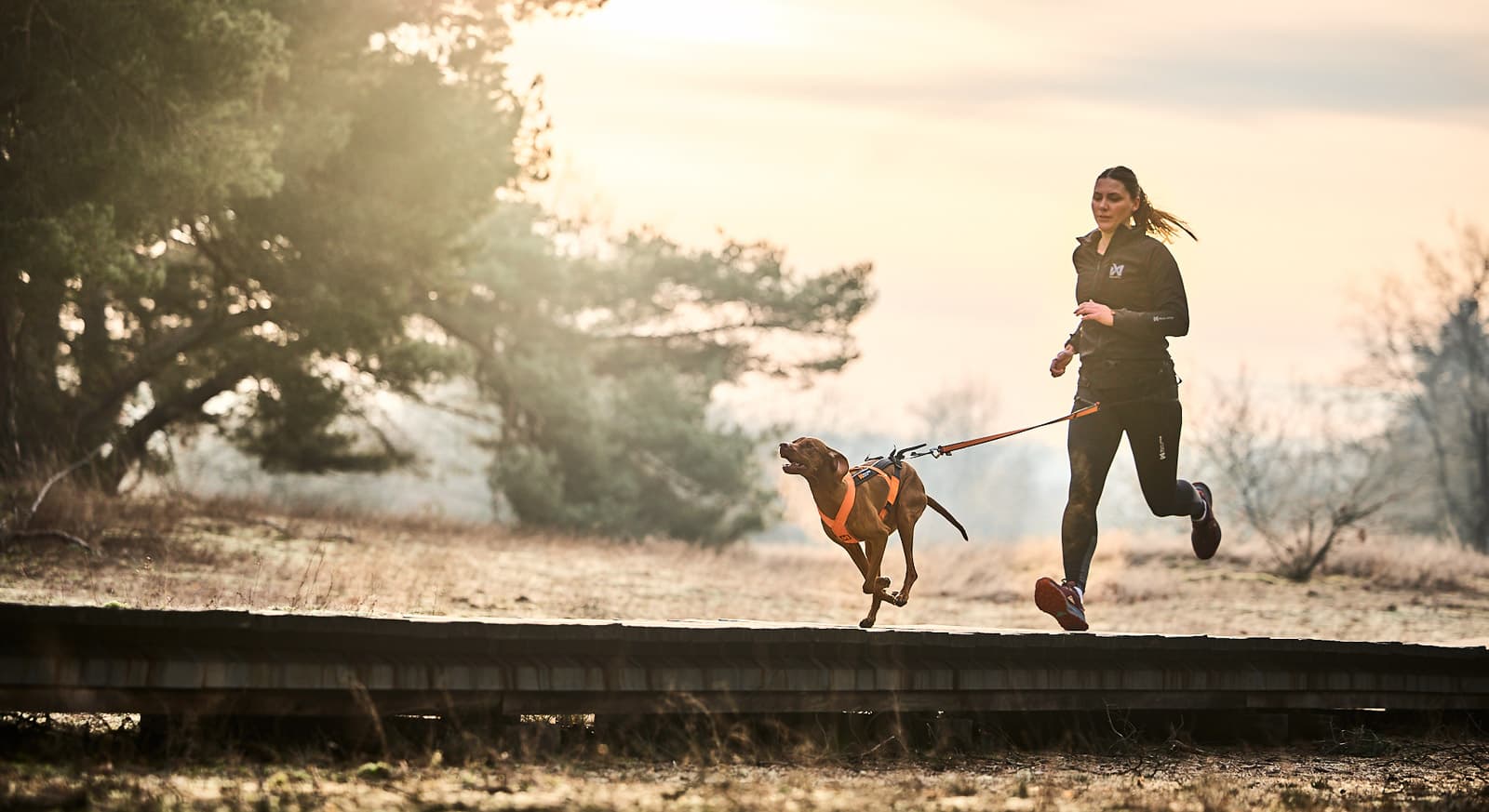 CaniX belt 2.0 lifestyle 1