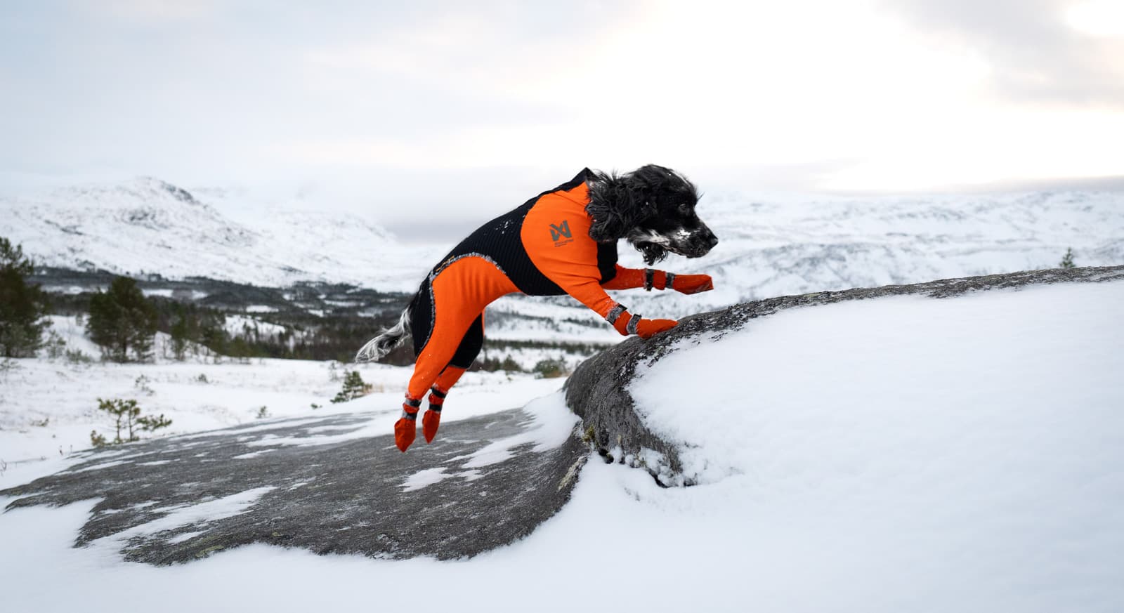 Contact bootie high lifestyle 1