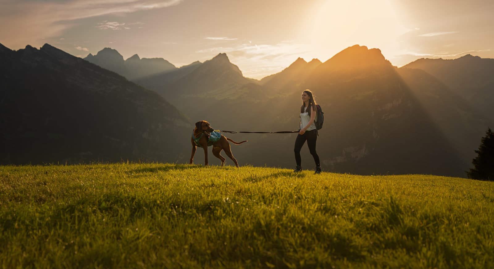 Explore belt lifestyle 1