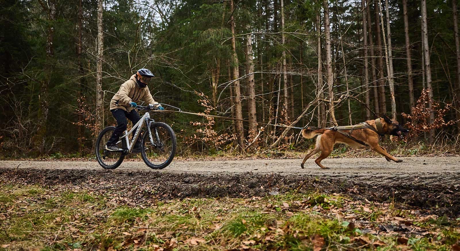 Freemotion harness WD lifestyle 1