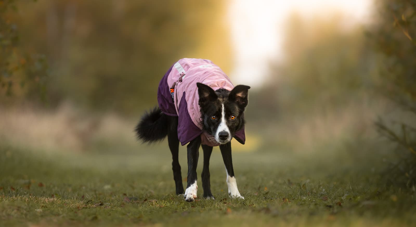 Glacier jacket 3.0 lifestyle 1