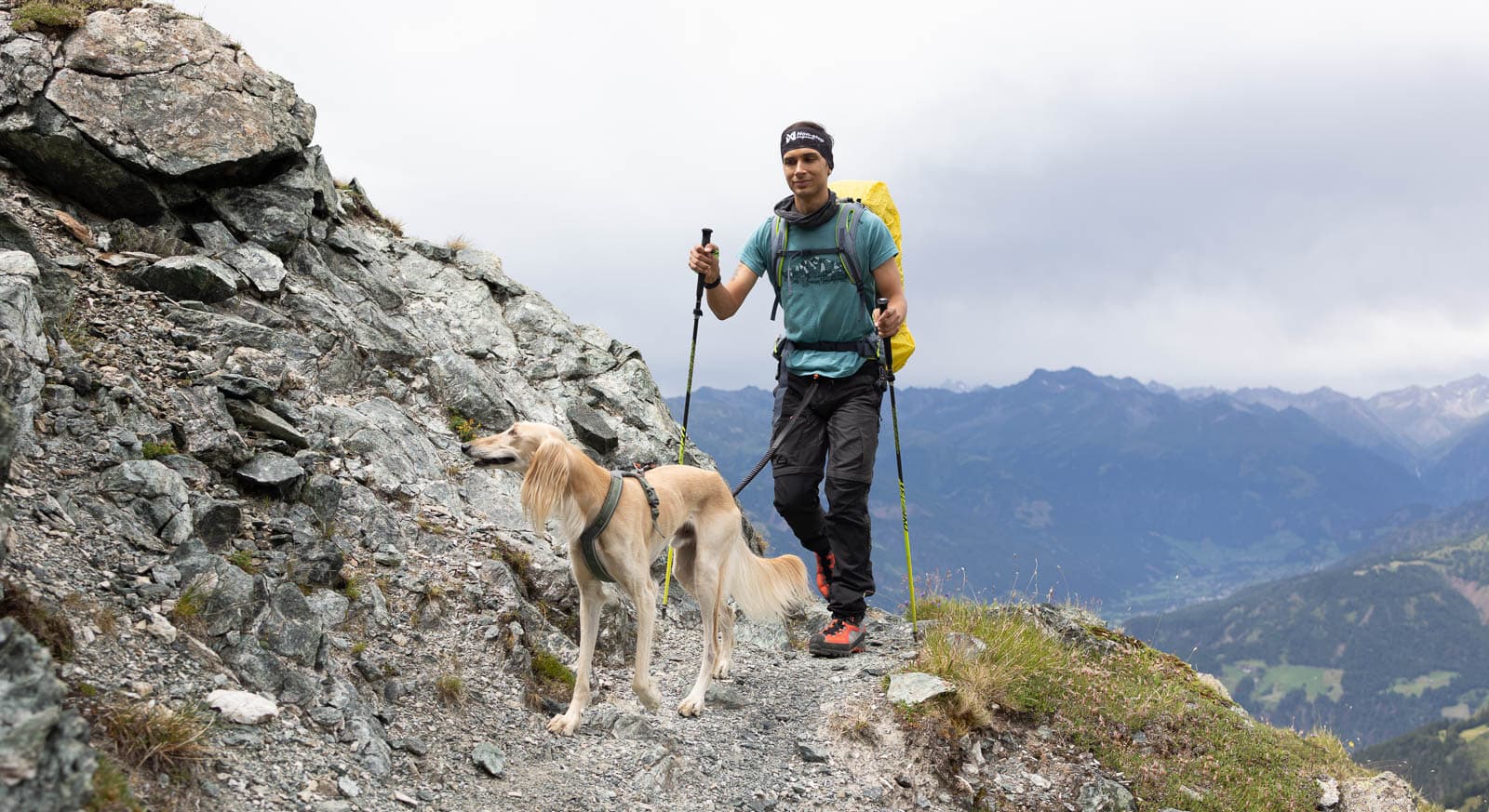 Line harness 5.0 lifestyle 1