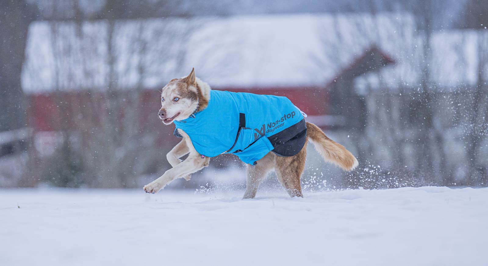 Long distance light jacket lifestyle 1