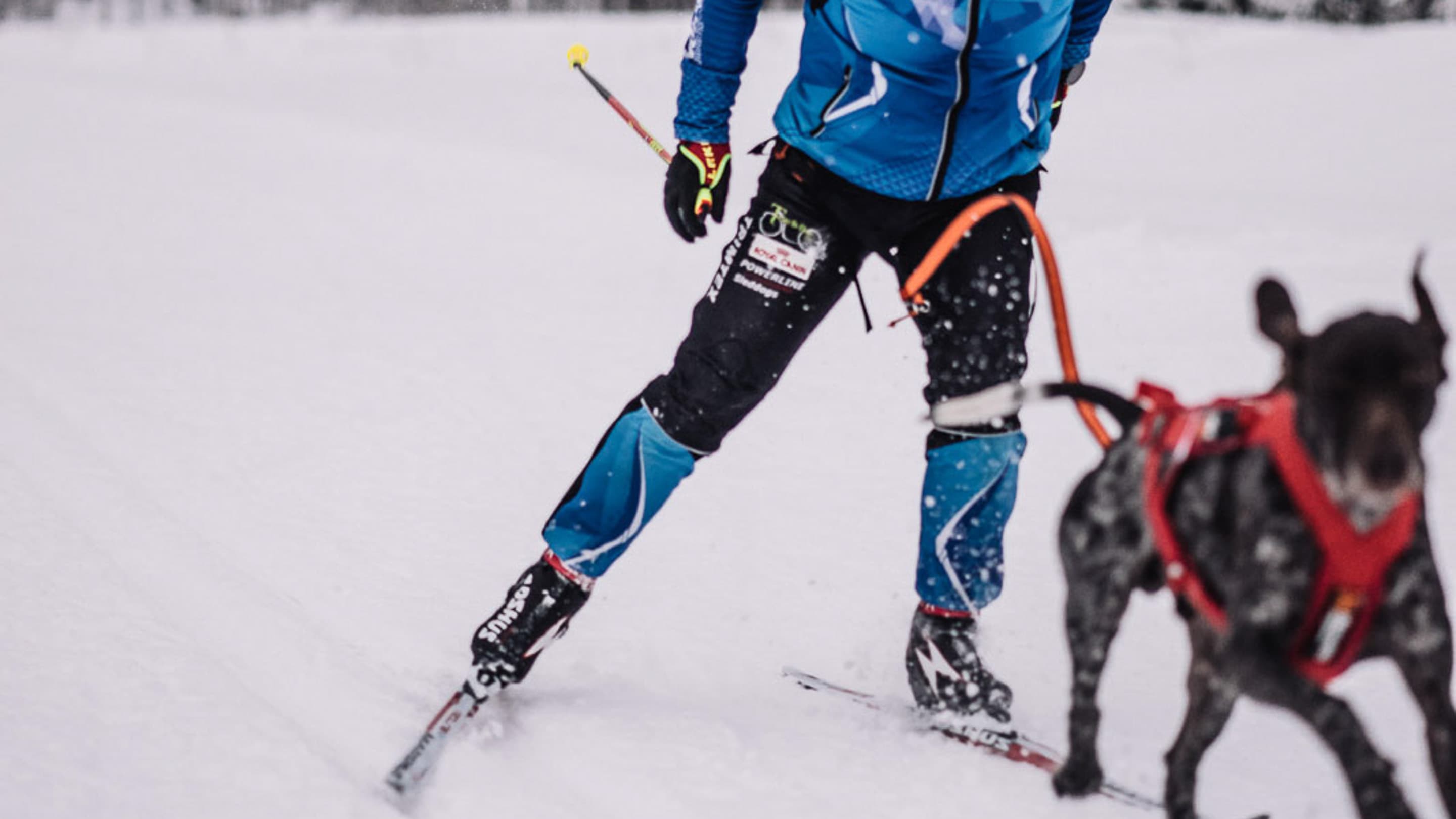 Quick release snap hook lifestyle 1