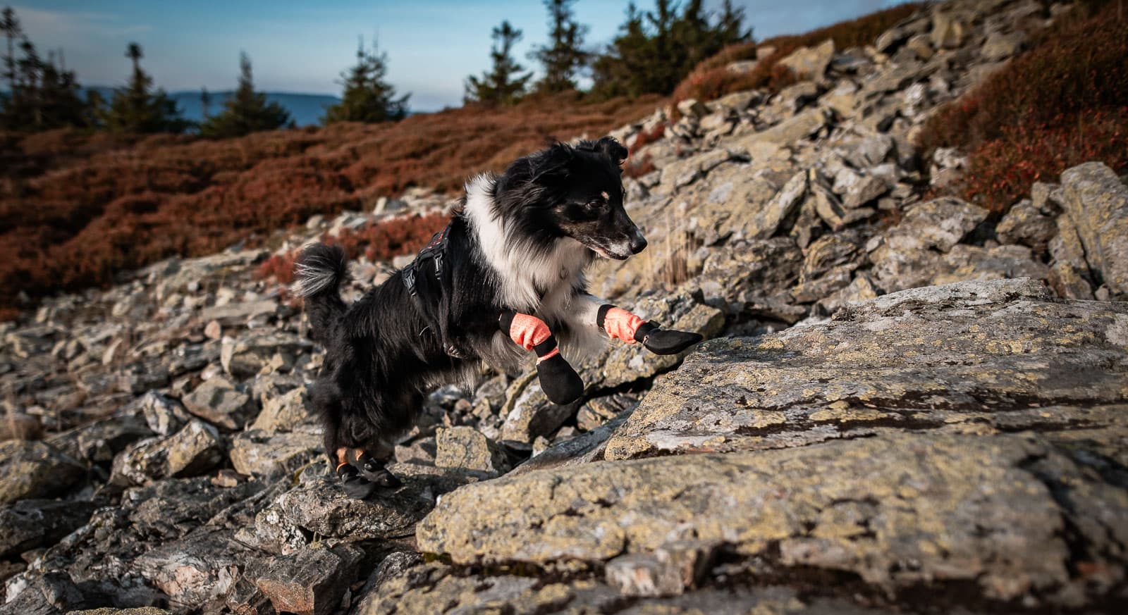 Protector bootie high lifestyle 1