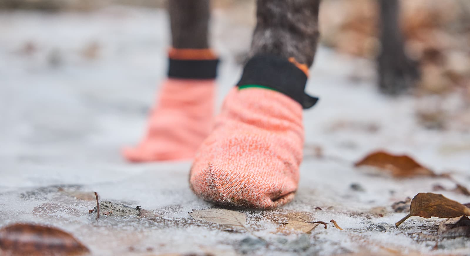 Protector light socks lifestyle 1