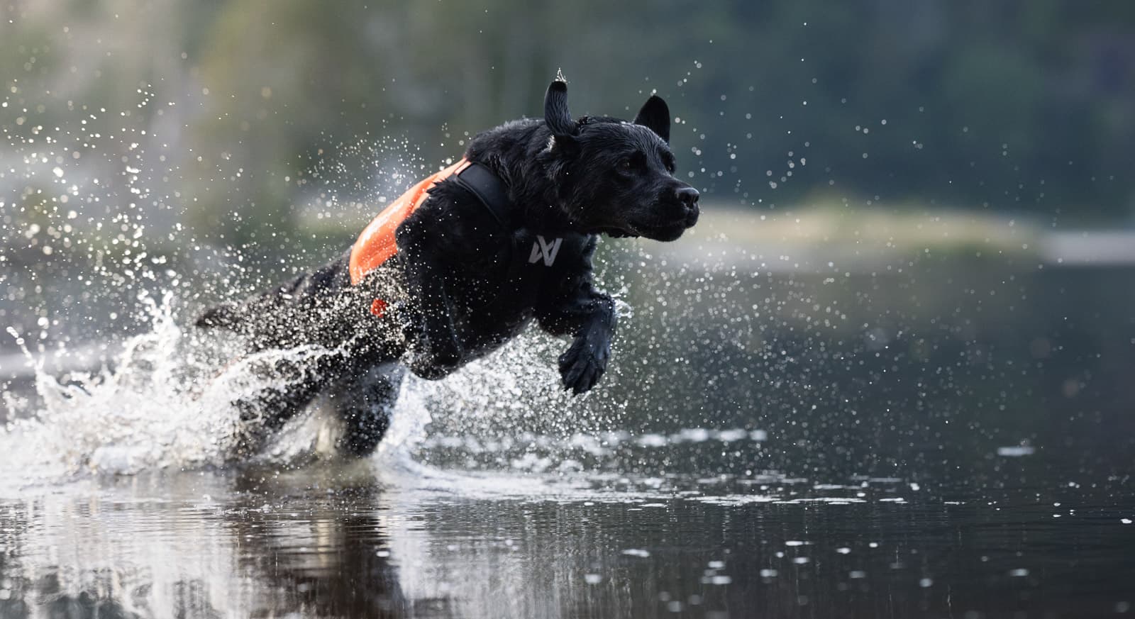 Protector neoprene vest lifestyle 1