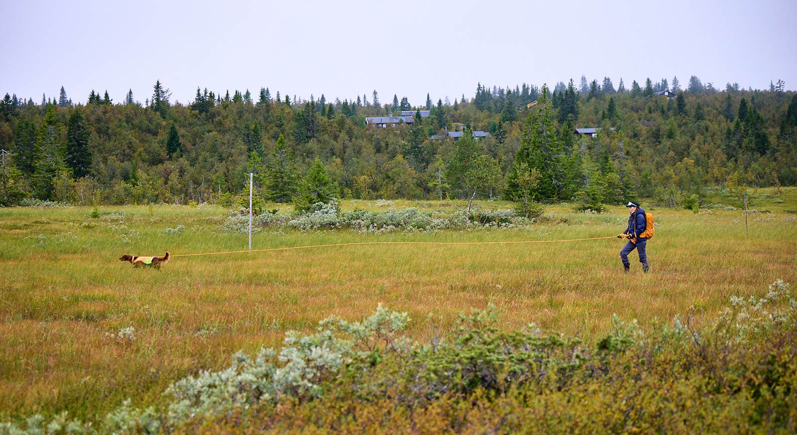 Protector round long line lifestyle 1