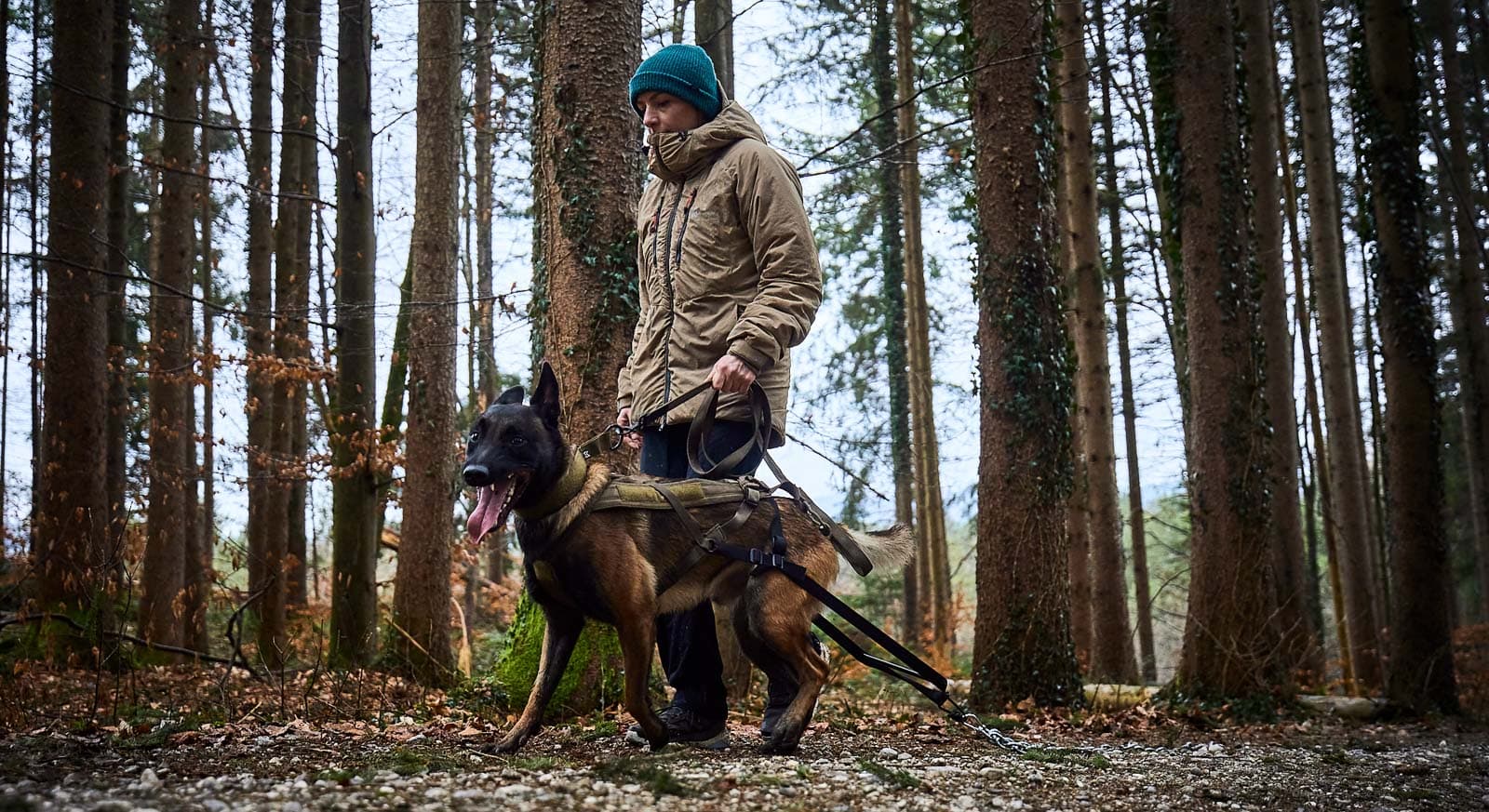 Pulling attachment WD lifestyle 1