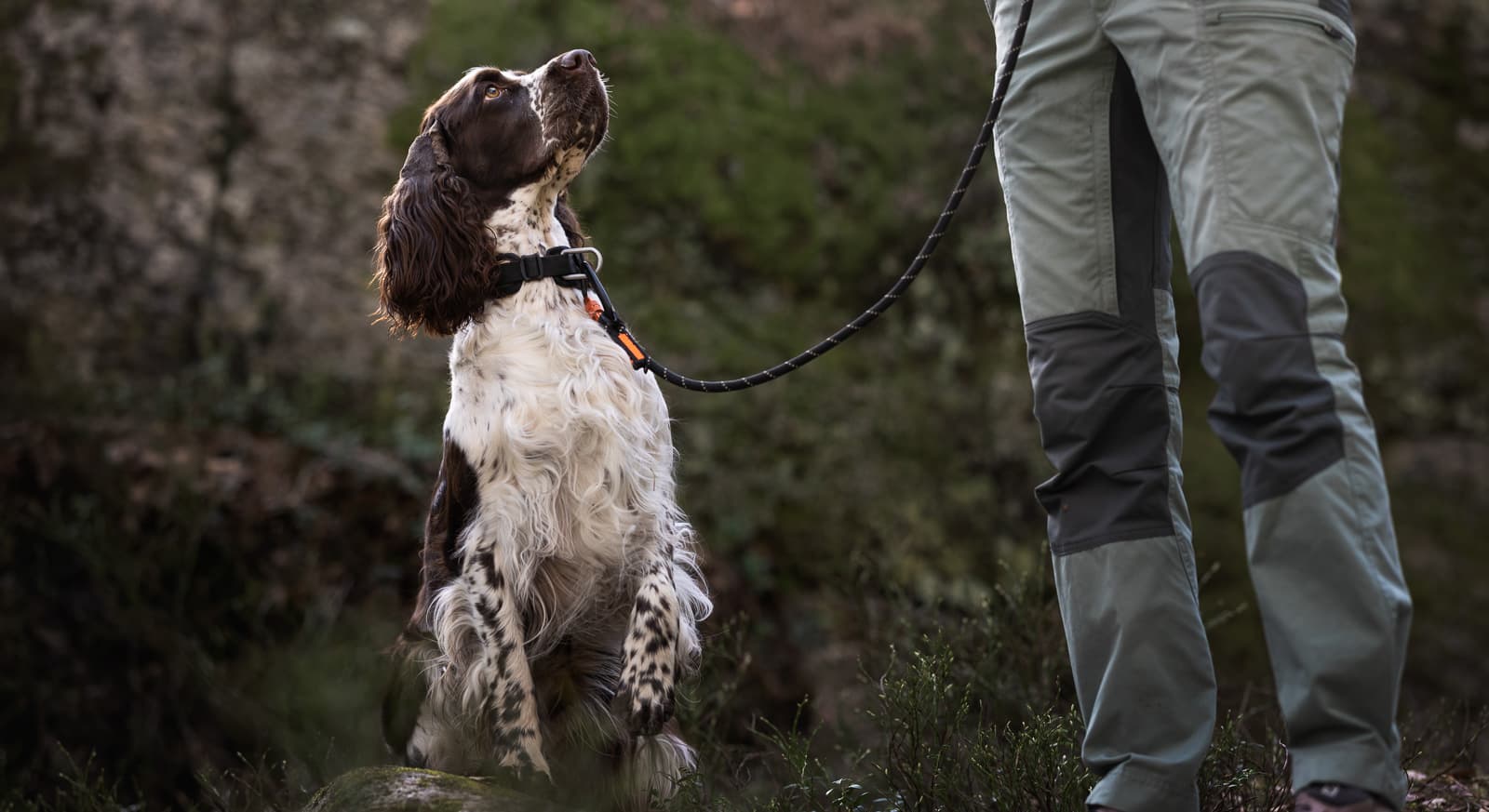Rock leash lifestyle 1