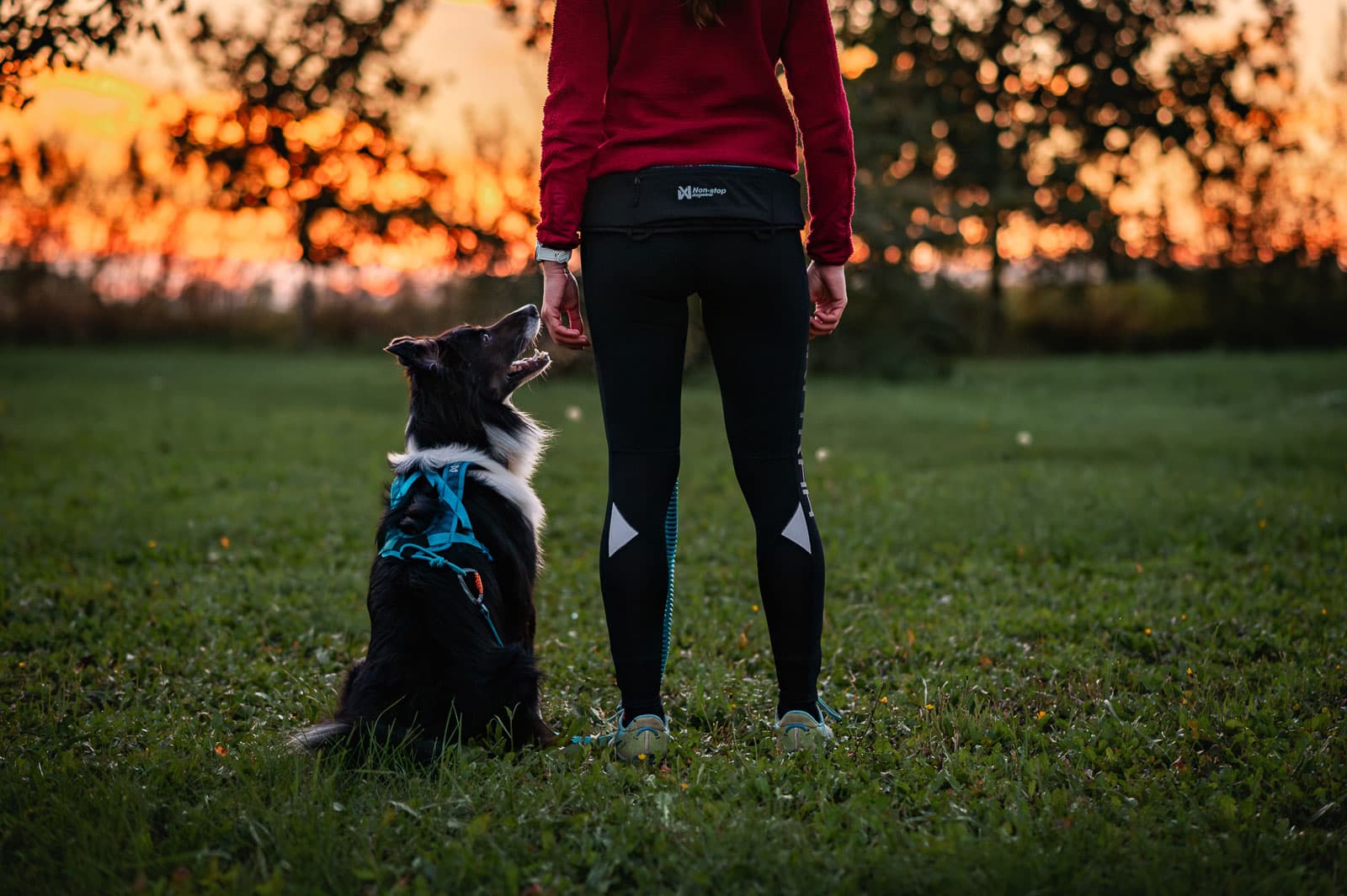 Rush belt lifestyle 1