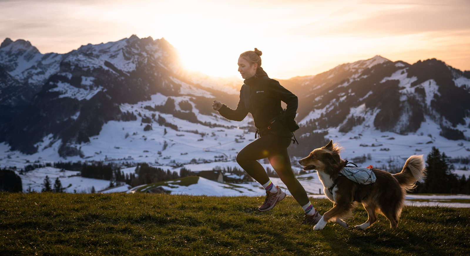 Trail light dog backpack lifestyle 1