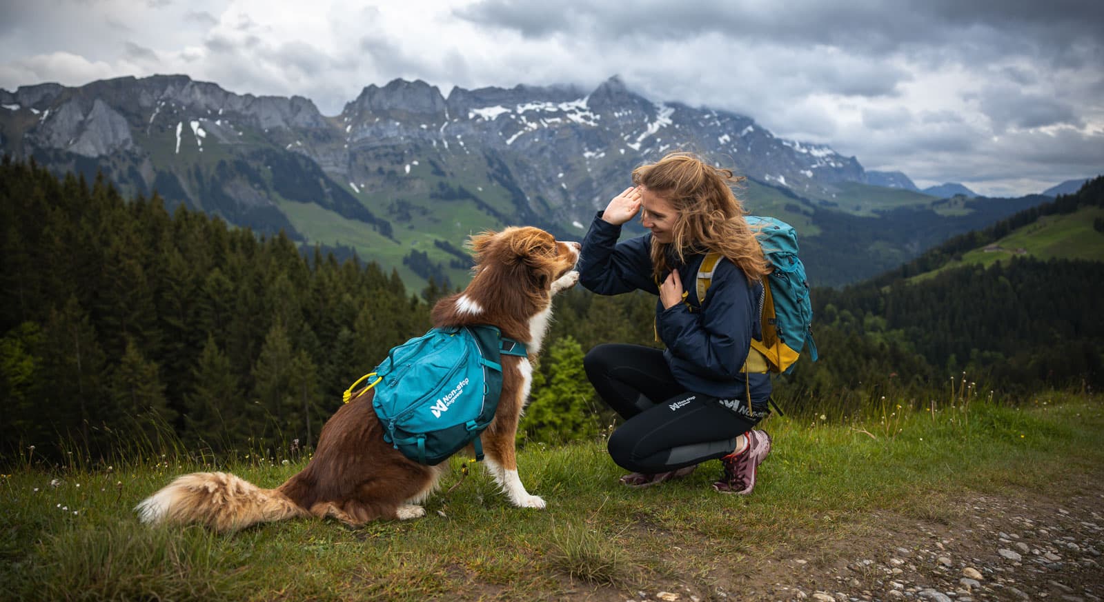 Trail quest dog backpack lifestyle 1