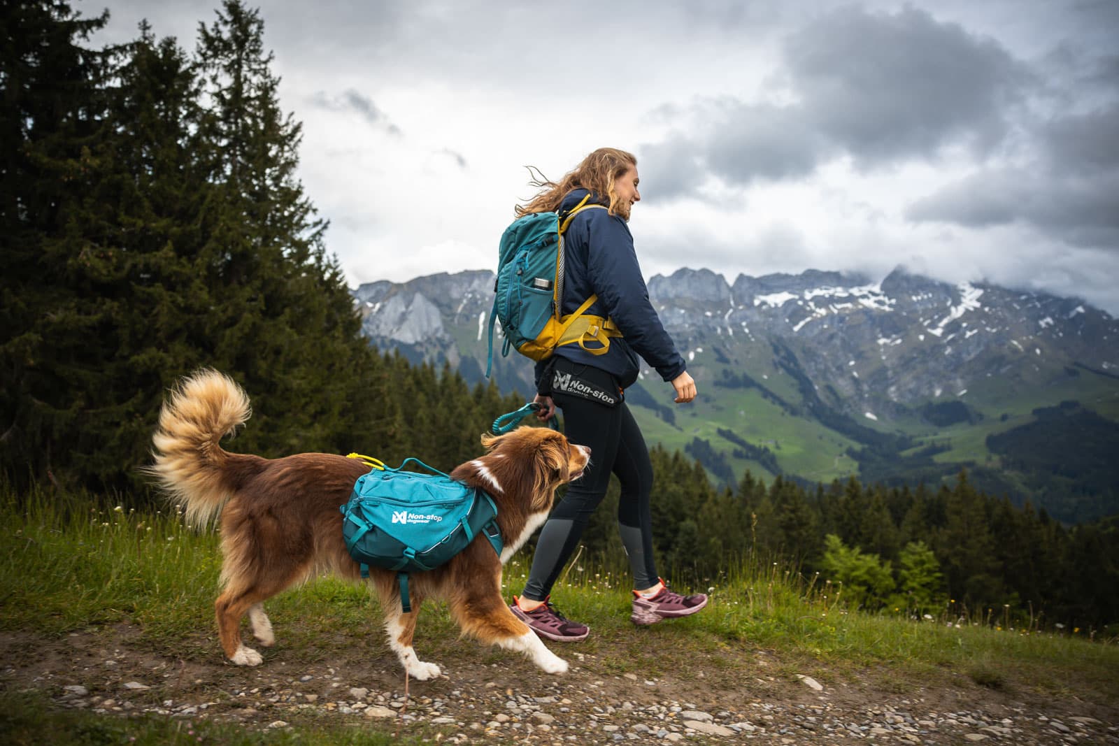 Trail quest dog backpack - 