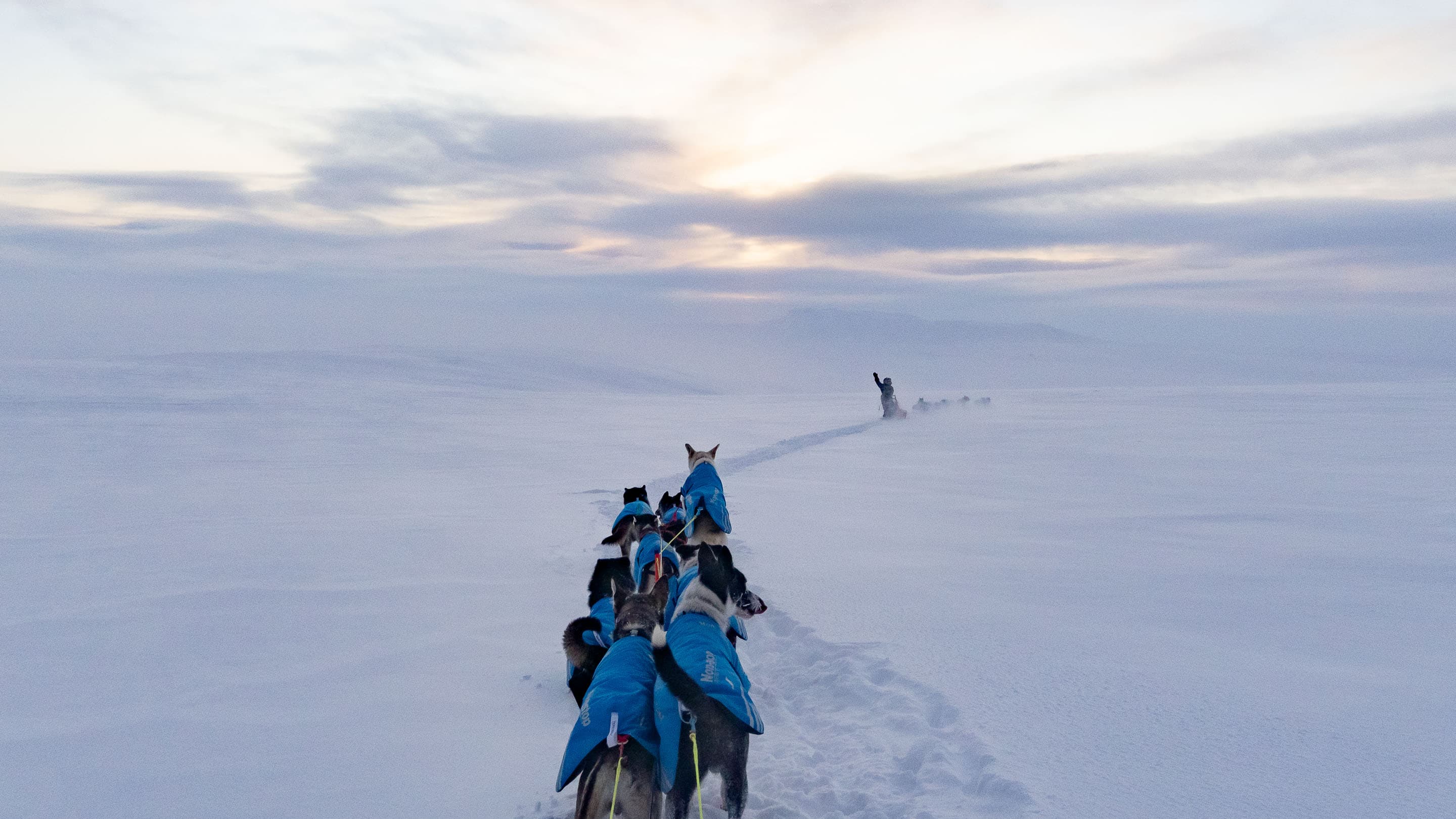 Arctic Votta lifestyle 1