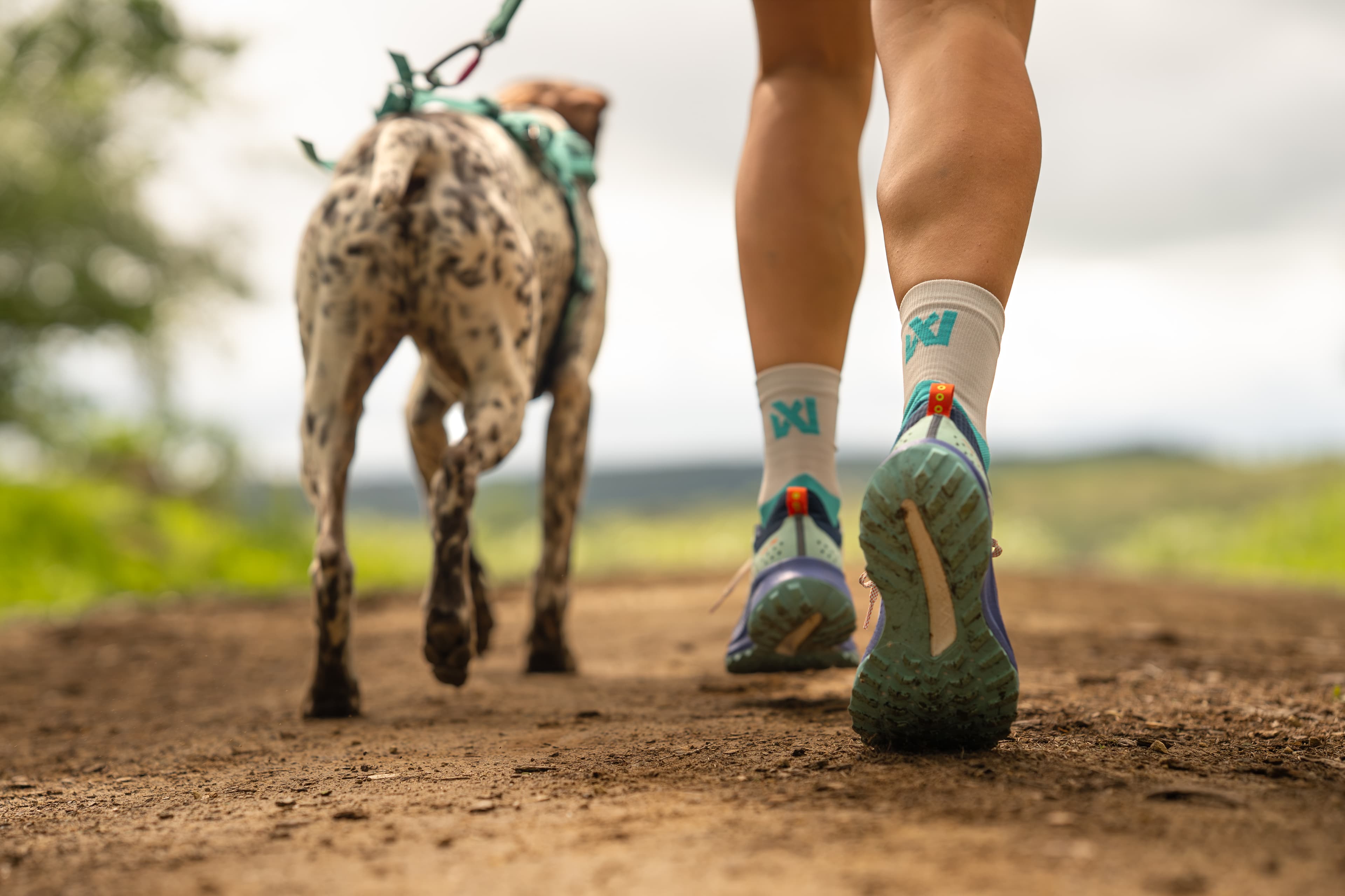 CaniX socks lifestyle 1