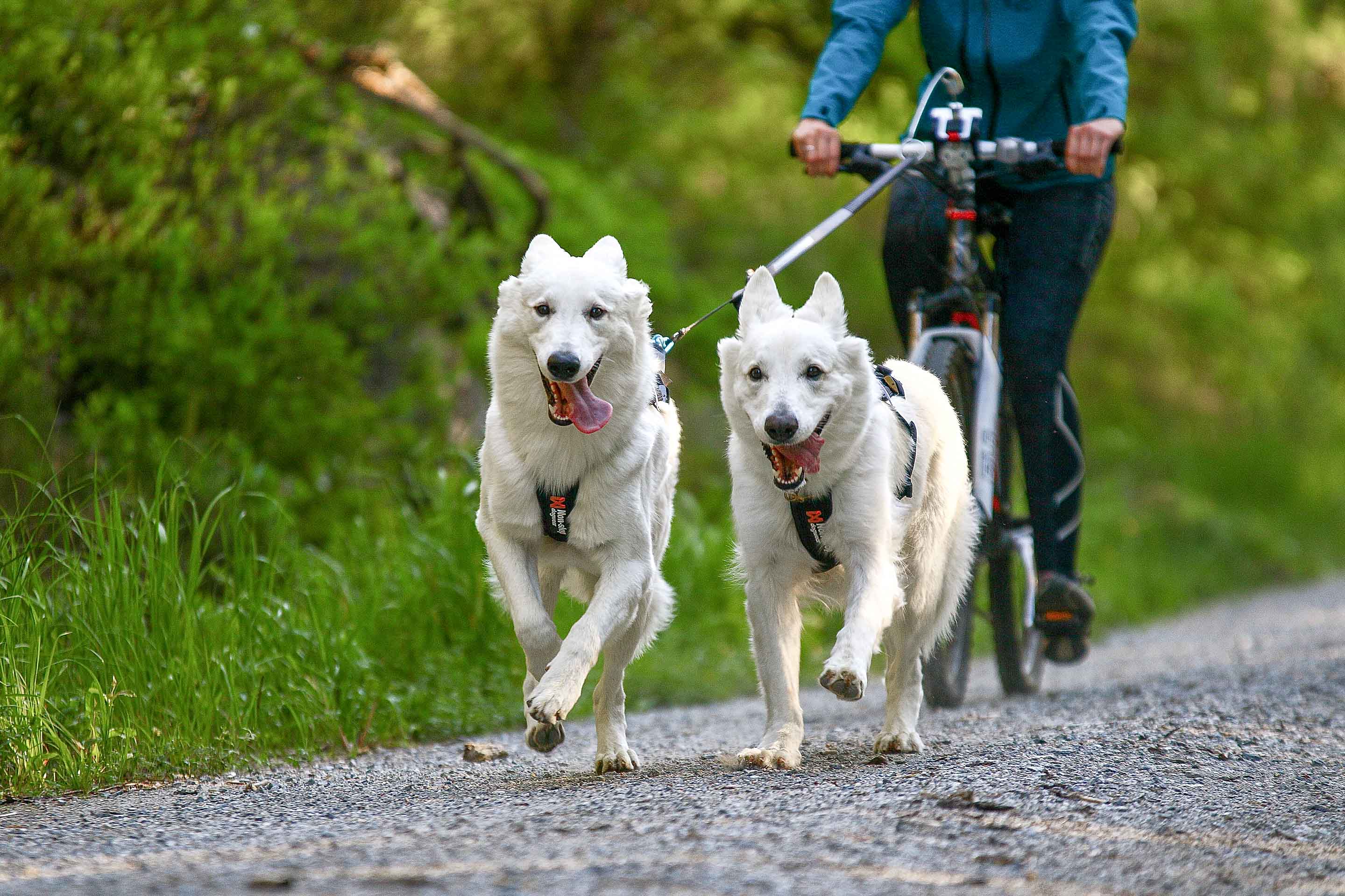 Bike antenna KLICKfix package lifestyle 1