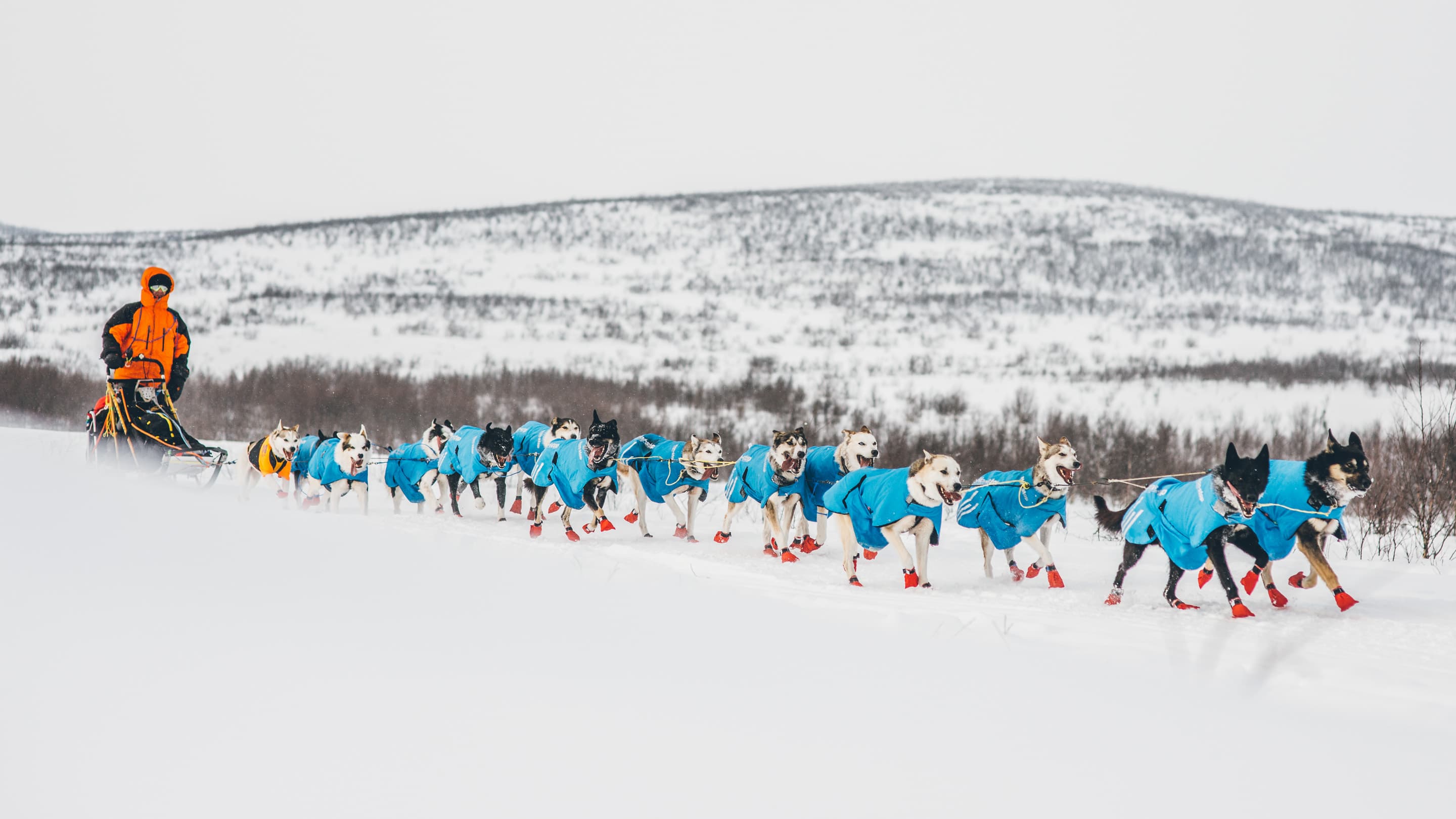 Long distance bootie 100pk lifestyle 1