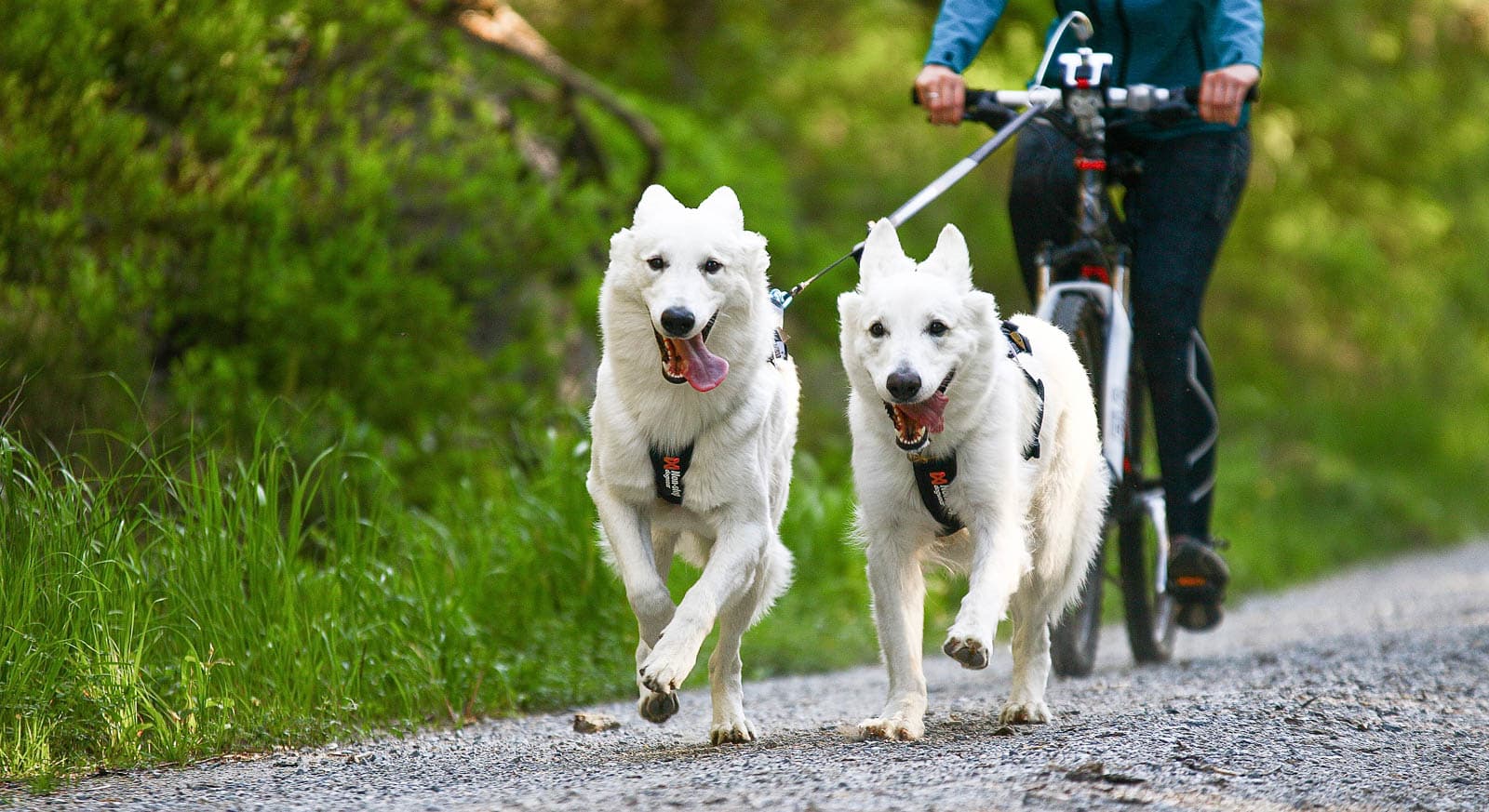 Touring double lifestyle 1