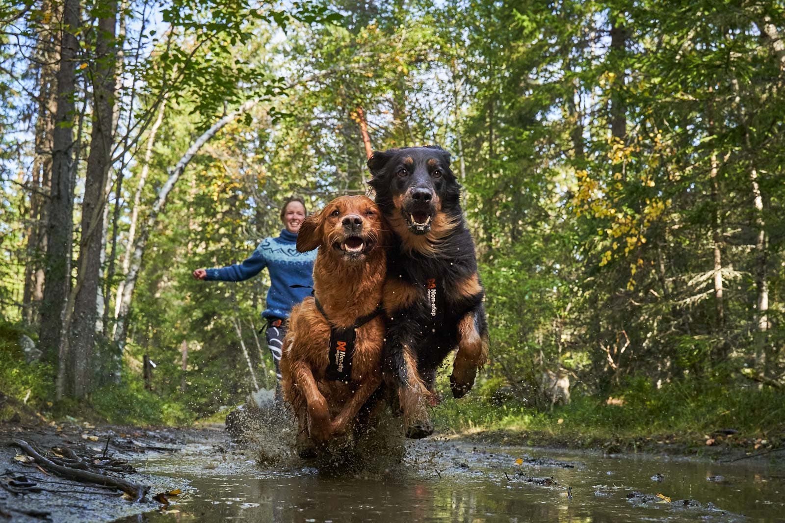 Bungee leash double lifestyle 1