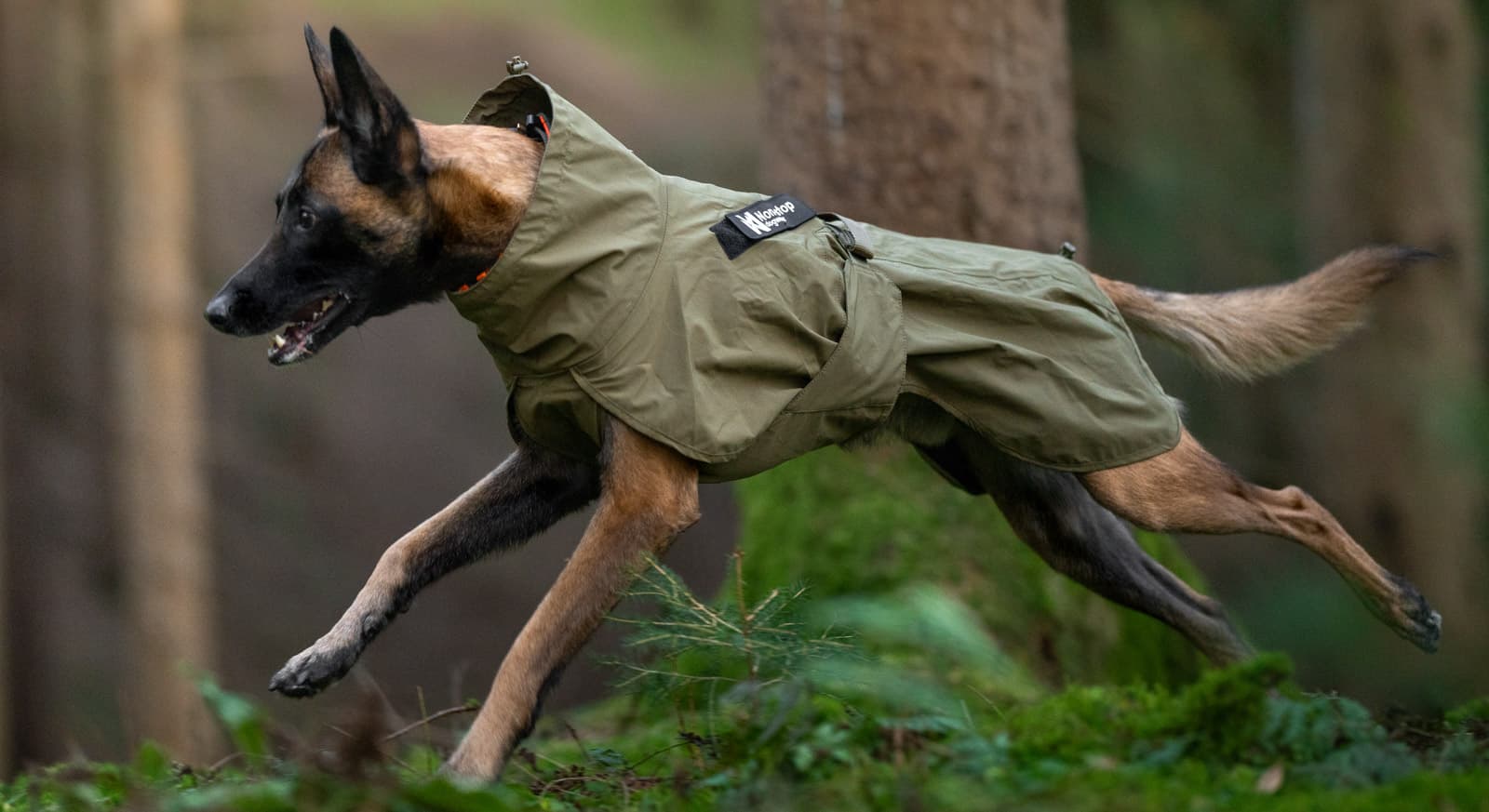 Fjord raincoat WD lifestyle 1