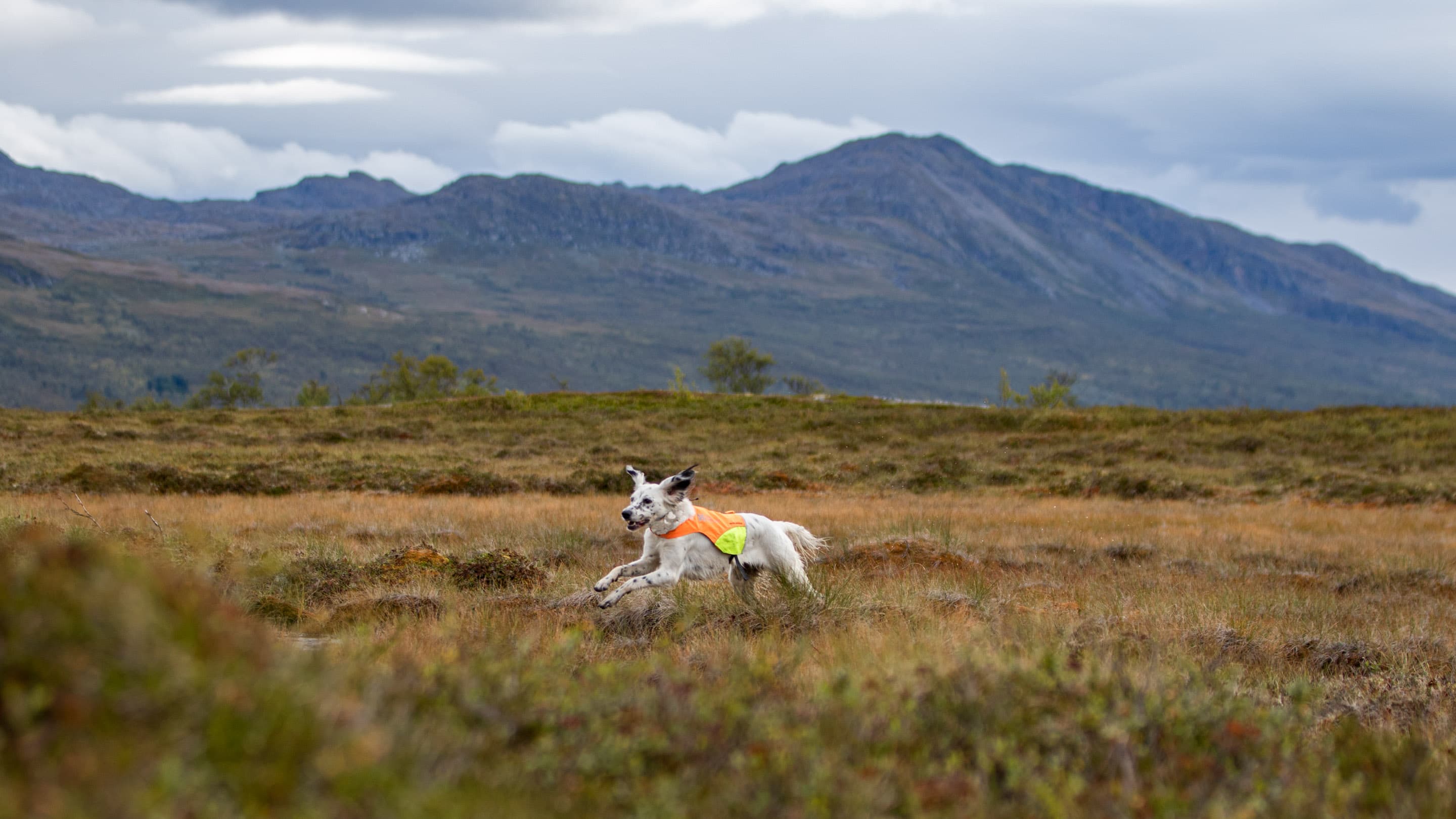 Protector cover lifestyle 1