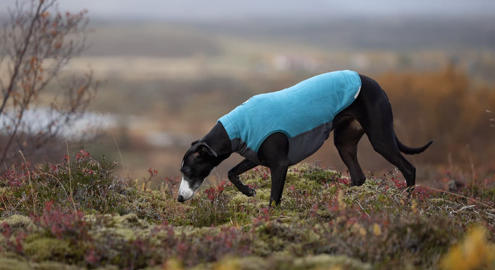 Trail quest fleece pullover lifestyle 1