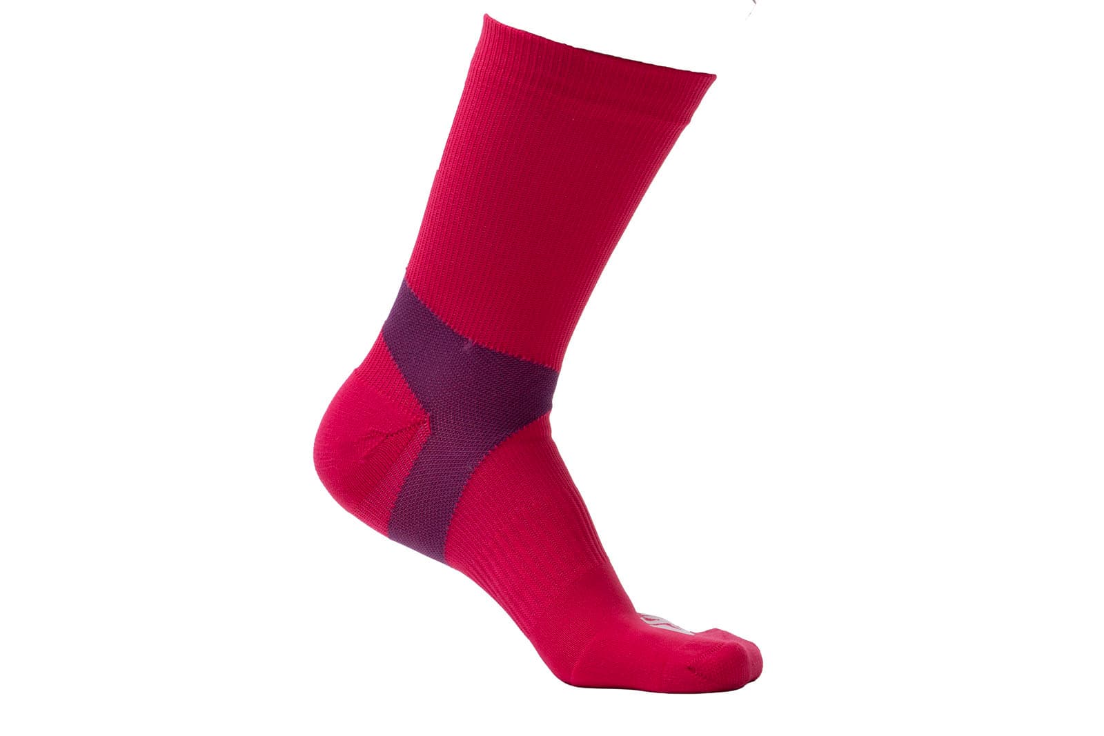 CaniX socks