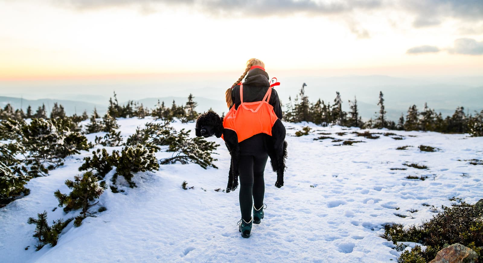 Dog rescue sling lifestyle 1