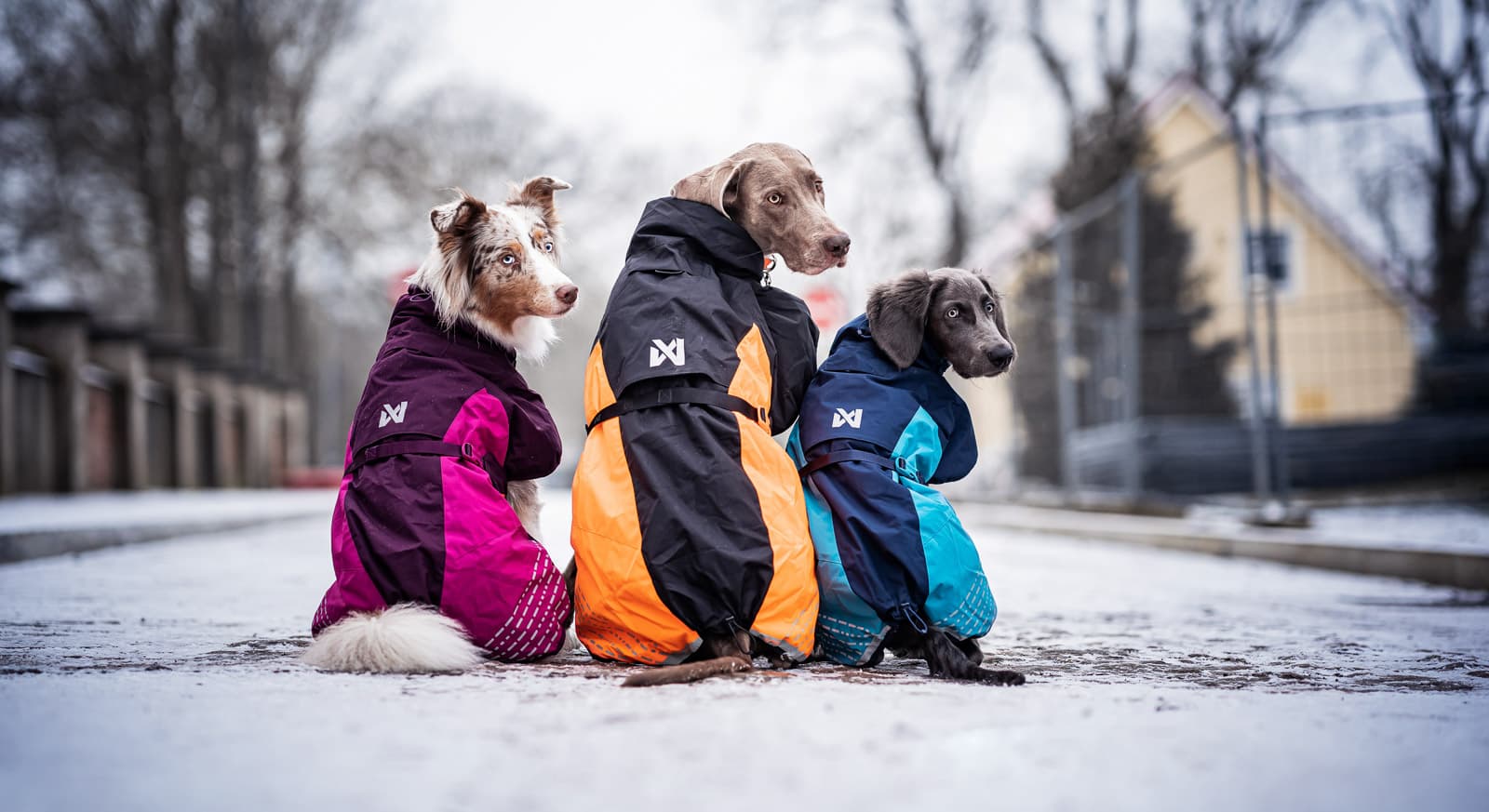 Glacier jacket 2.0 lifestyle 1