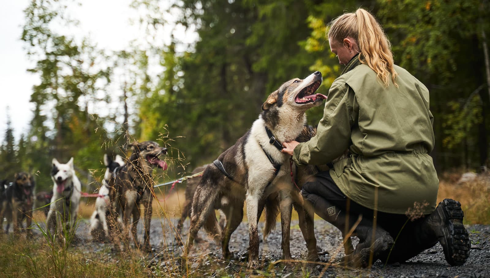 Polar collar lifestyle 1