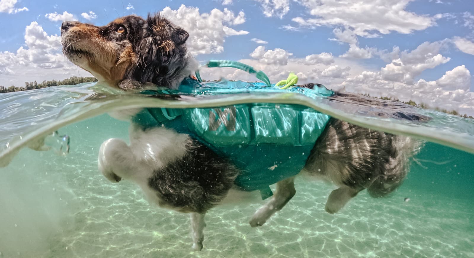 Protector life jacket lifestyle 1