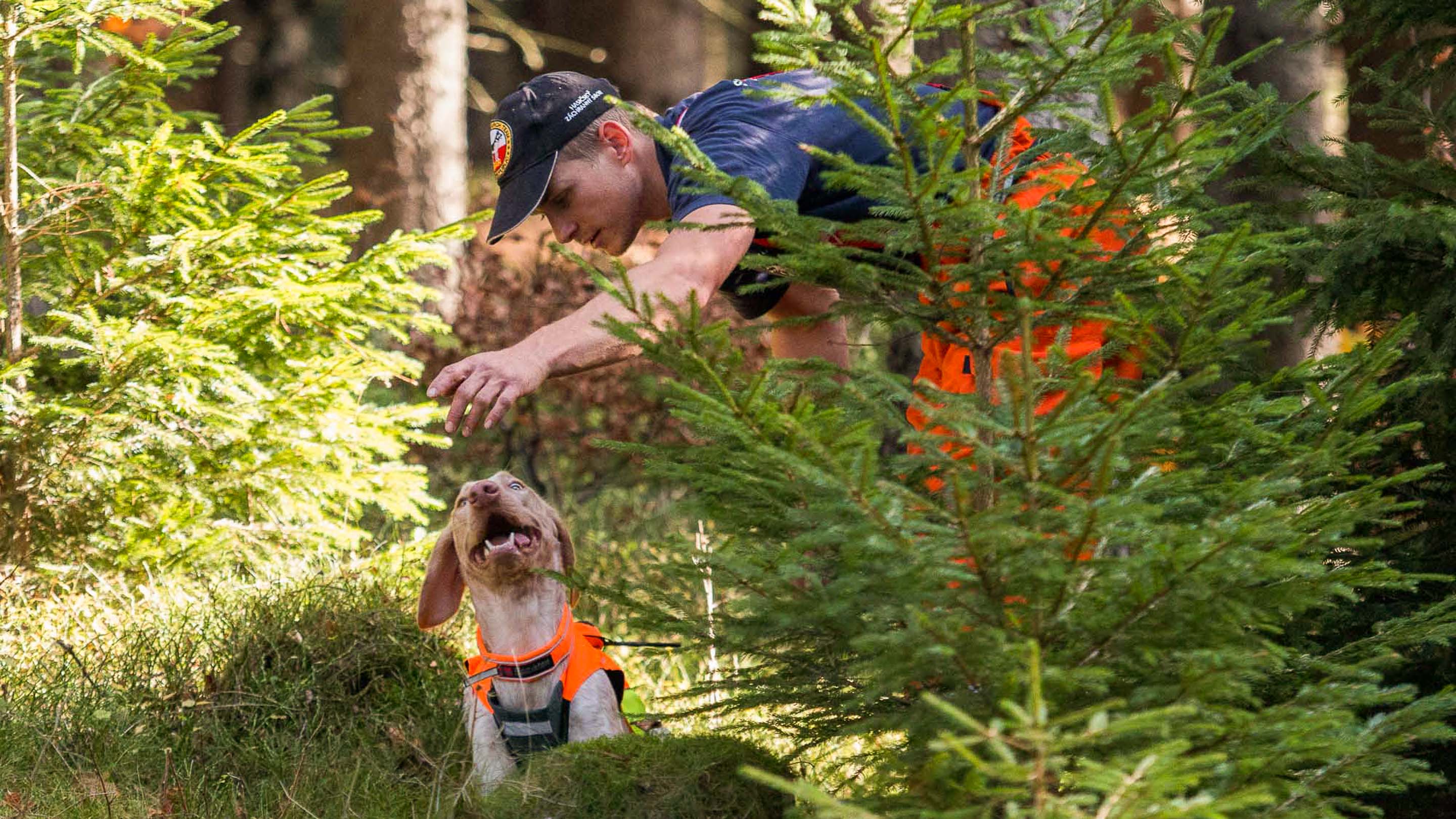 Protector vest GPS lifestyle 1