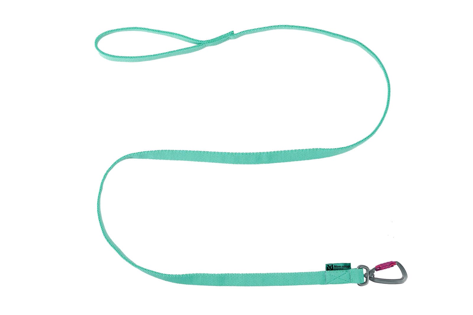 Bungee leash - aqua