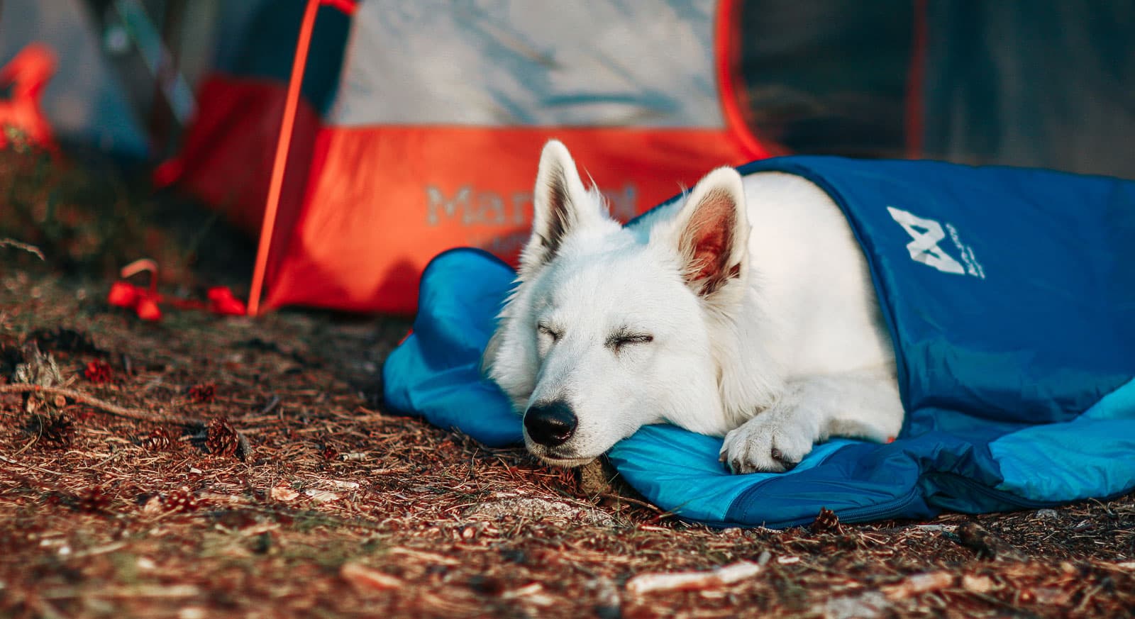 Ly sleeping bag lifestyle 1