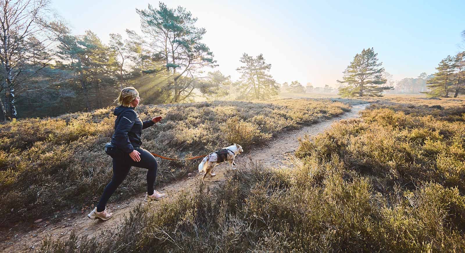 Trail light belt lifestyle 1