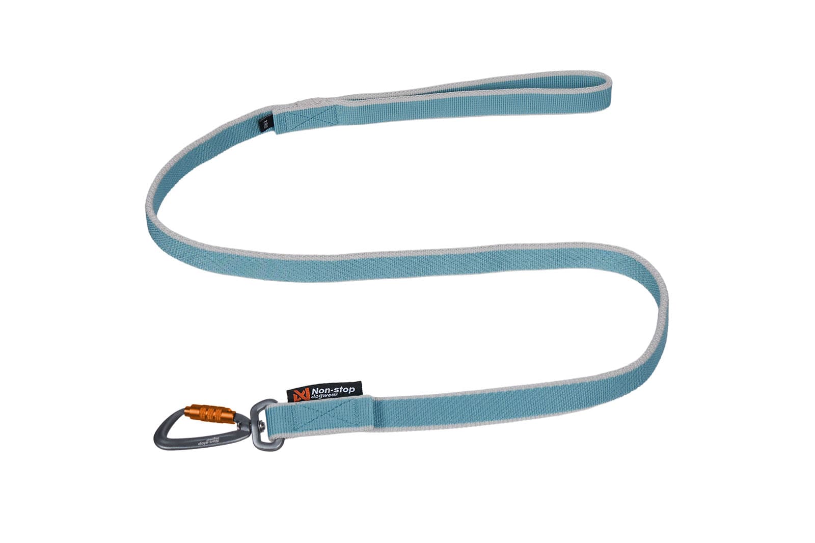 Bungee leash