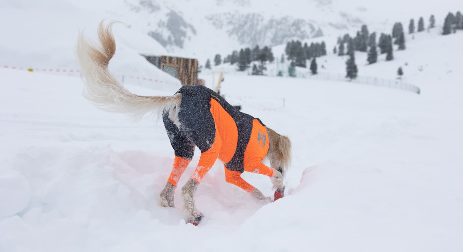 Protector snow female lifestyle 1