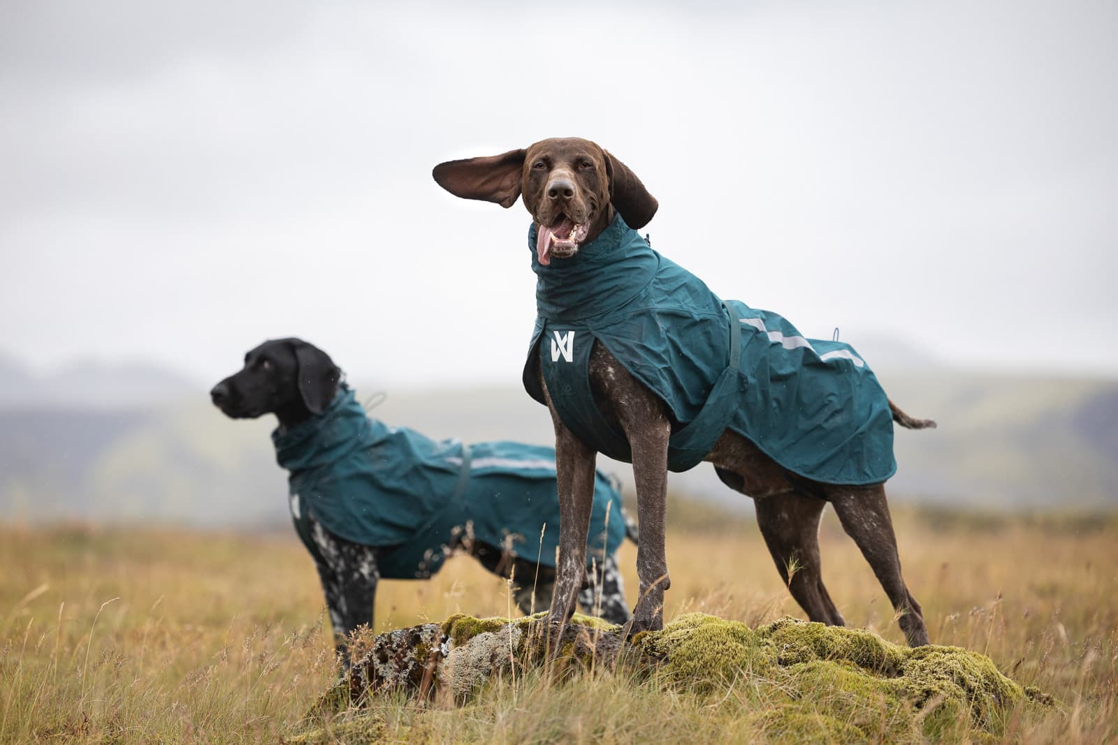 Fjord lined raincoat - 