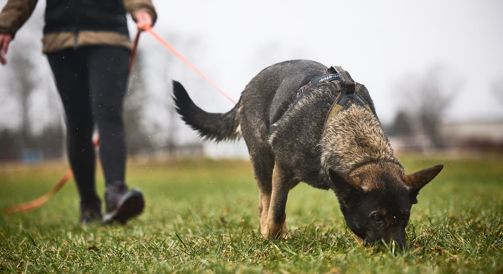 Line harness grip WD lifestyle 1