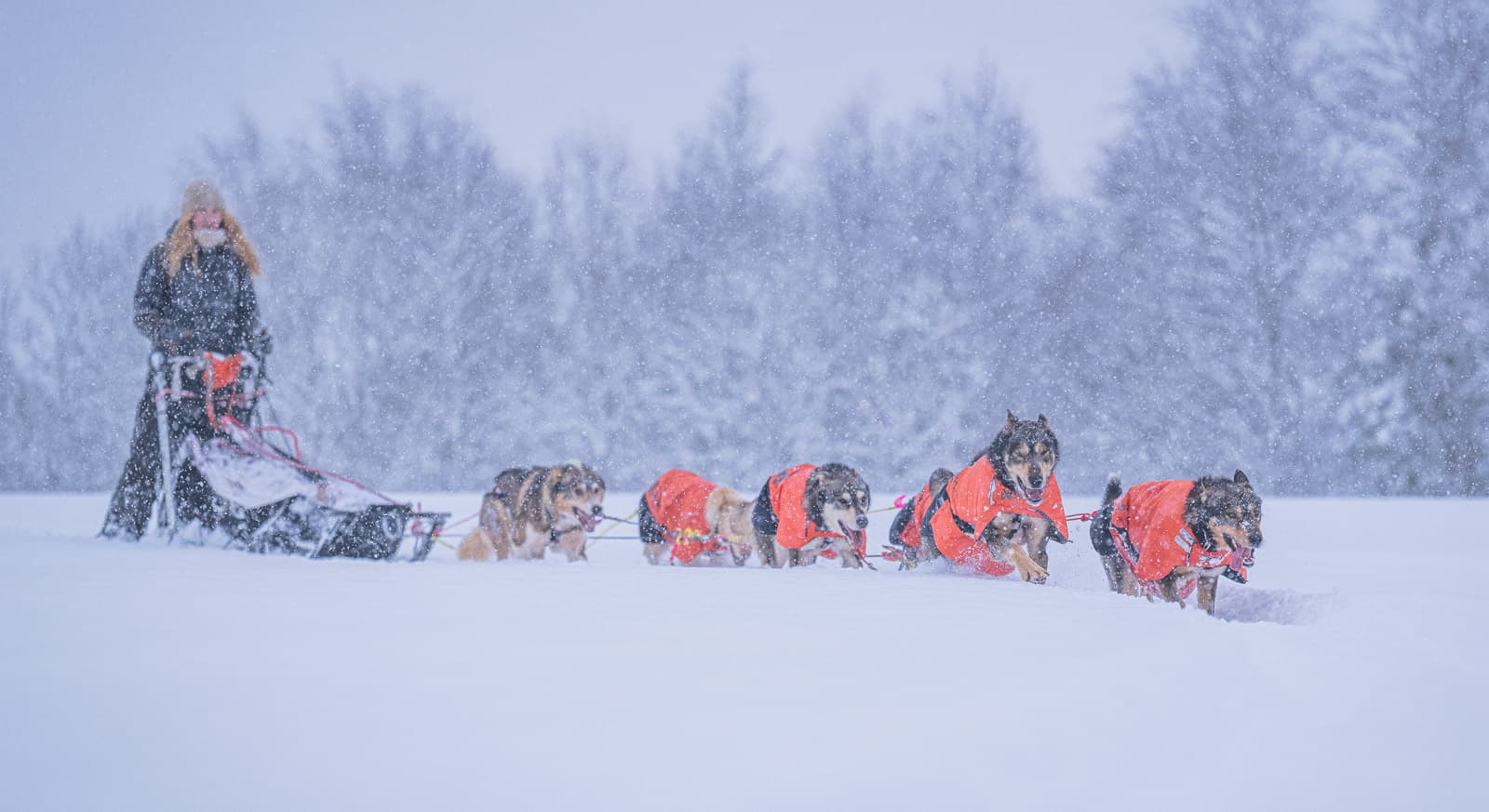 Long distance + jacket lifestyle 1