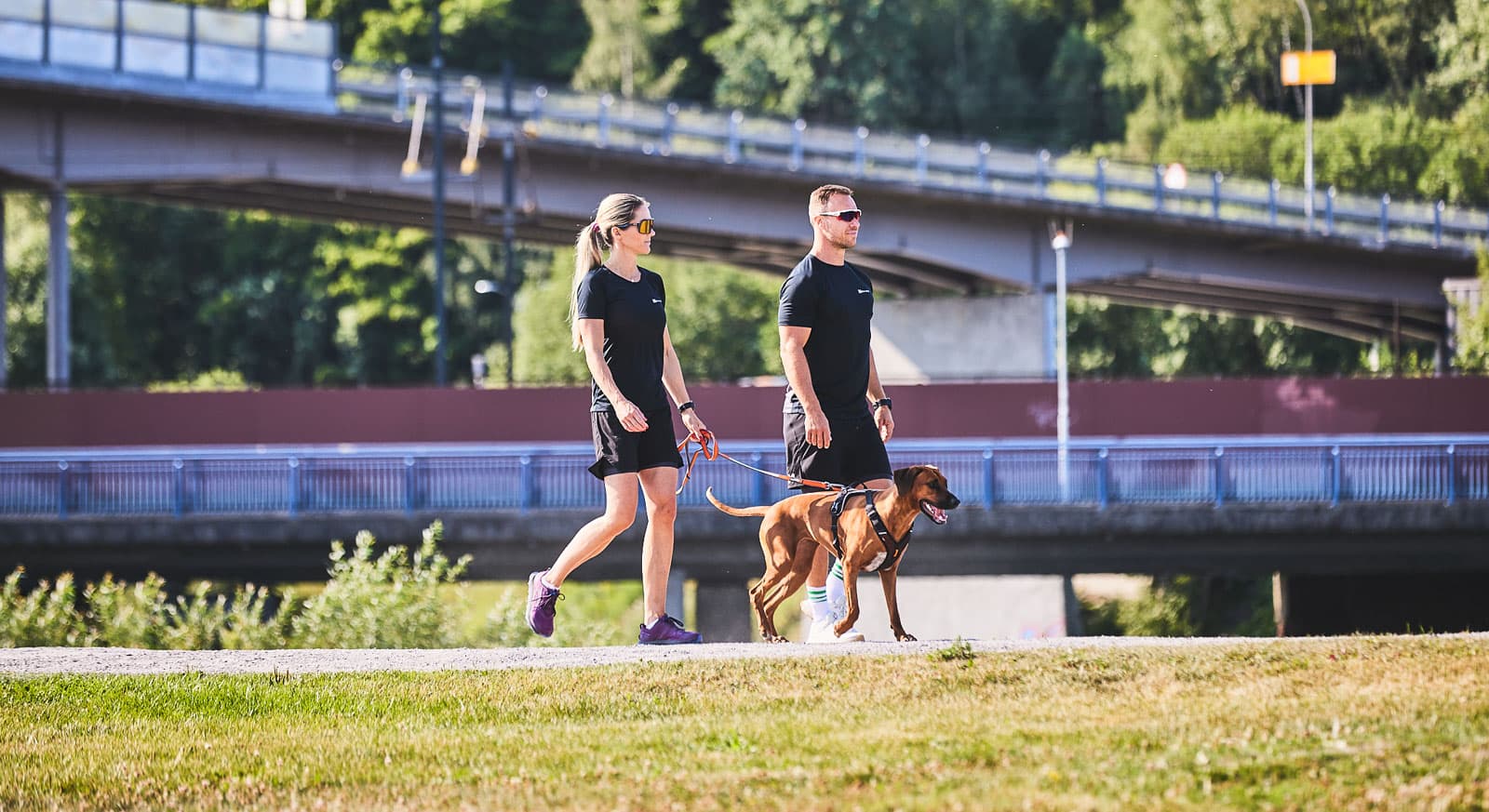 Move leash lifestyle 1