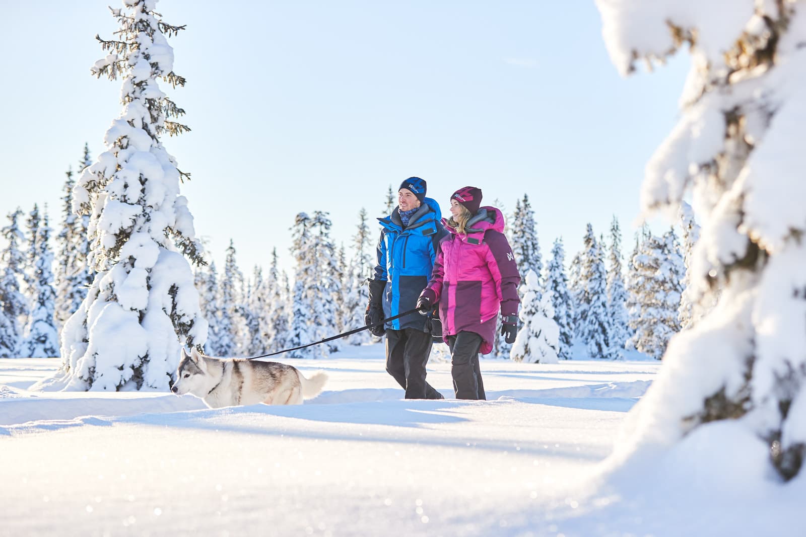 Strong leash lifestyle 1