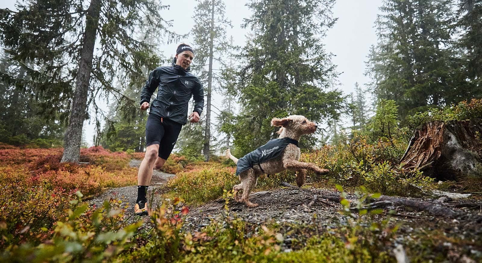 Trail light dog jacket lifestyle 1