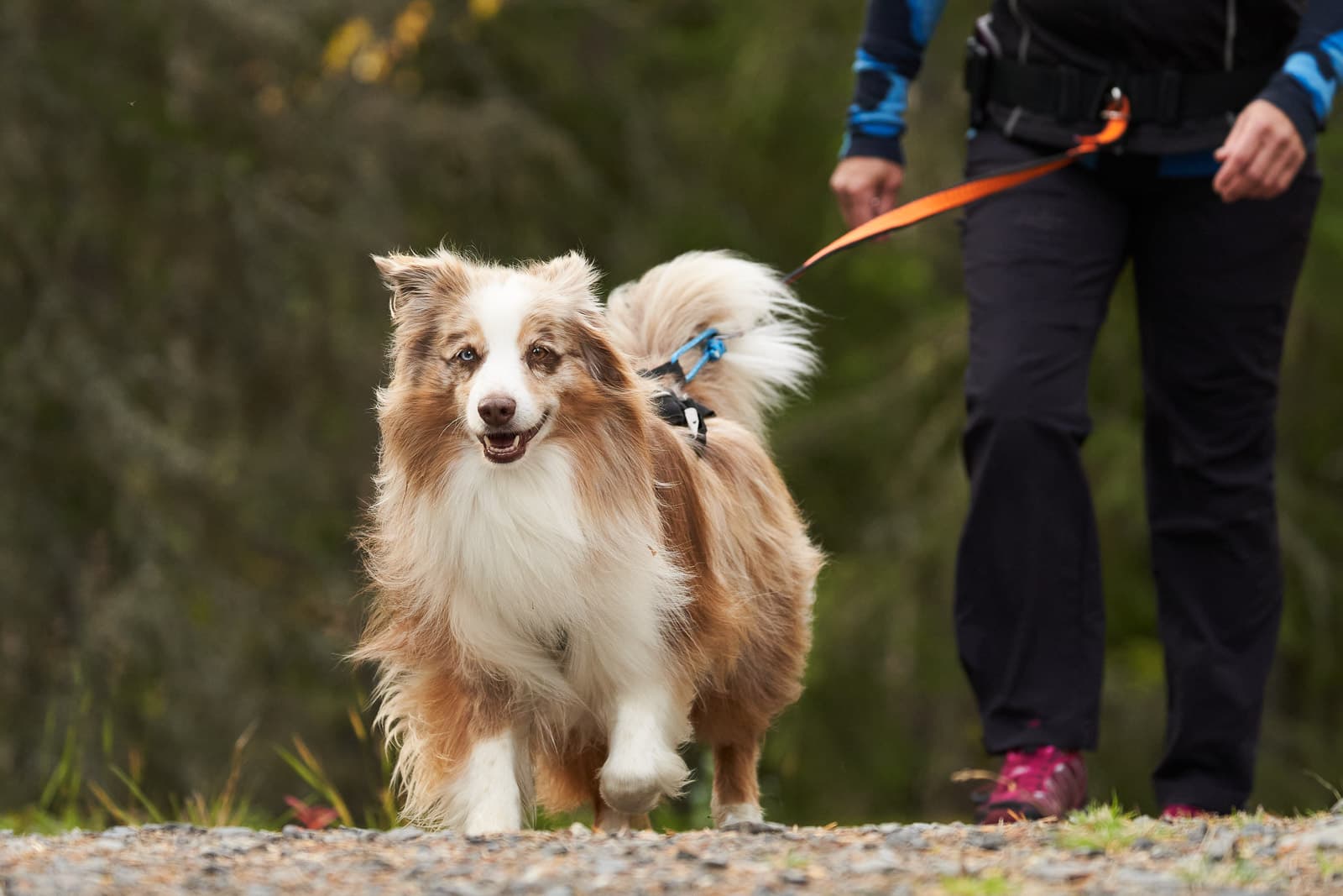 Trekking belt front piece lifestyle 1