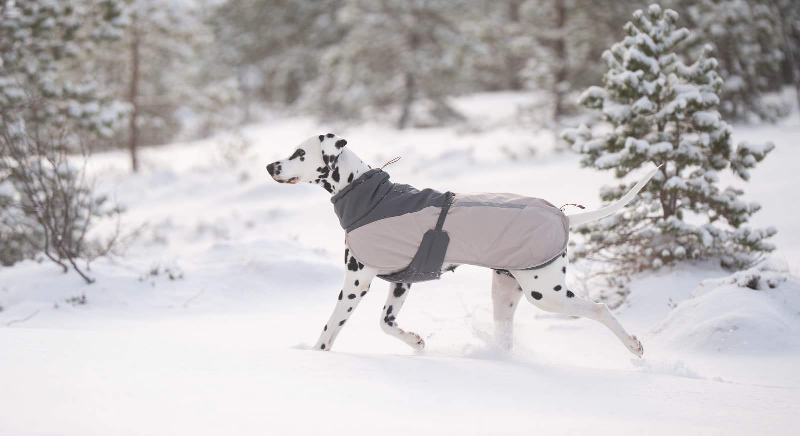 Glacier wool jacket 3.0 lifestyle 1